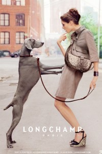 Longchamp Dog Coco Roch