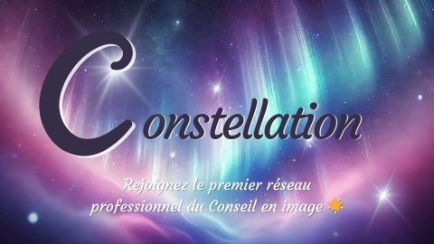 Constellation réseau professionnel conseil en image